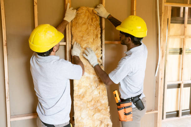 Best Home Insulation Services  in Ardmore, PA